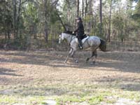 international/USA/2009FITS/gallery/AngieMcGhee/thumbnails/FITS Sat. 50 029.jpg